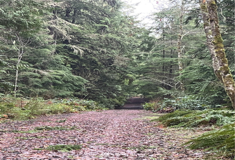 5938 Stephanie, Port Orchard, Washington 98367, ,Land,For Sale,Stephanie,NWM1714591