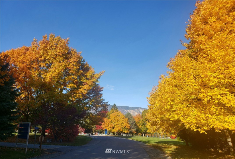 1 Beach 550-A, Manson, Washington 98831, 2 Bedrooms Bedrooms, ,2 BathroomsBathrooms,Residential,For Sale,Beach,Beach 550-A,NWM1368143