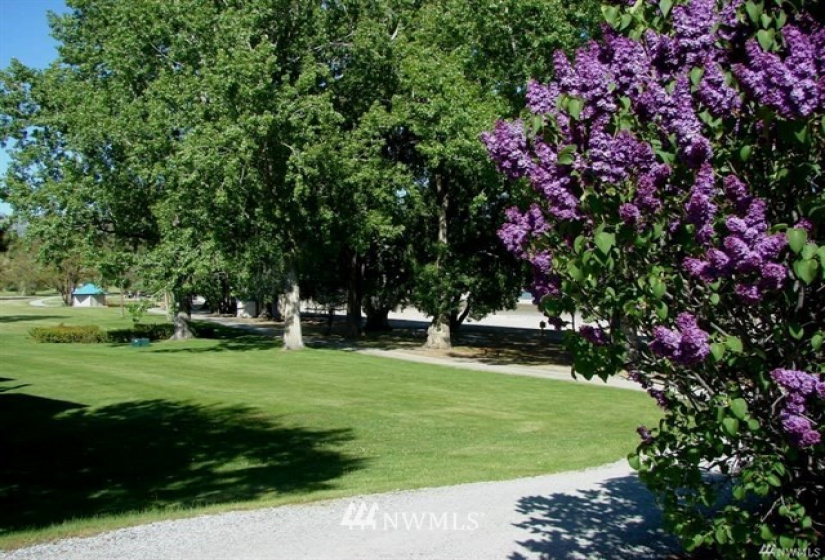 1 Beach 550-A, Manson, Washington 98831, 2 Bedrooms Bedrooms, ,2 BathroomsBathrooms,Residential,For Sale,Beach,Beach 550-A,NWM1368143