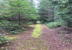 5878 Stephanie, Port Orchard, Washington 98367, ,Land,For Sale,Stephanie,NWM1714567