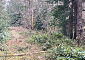 5898 Stephanie, Port Orchard, Washington 98367, ,Land,For Sale,Stephanie,NWM1714563