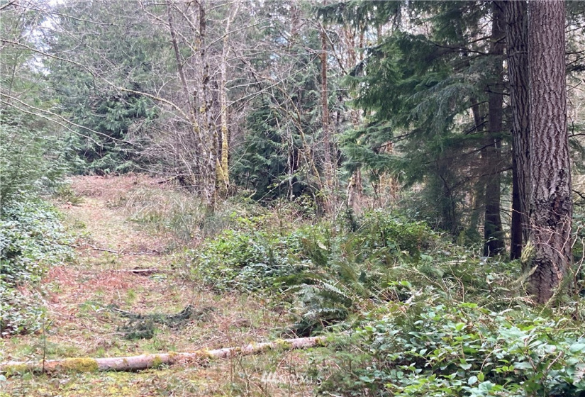 5898 Stephanie, Port Orchard, Washington 98367, ,Land,For Sale,Stephanie,NWM1714563