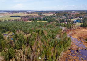 0 328th, Roy, Washington 98580, ,Land,For Sale,328th,NWM1877994