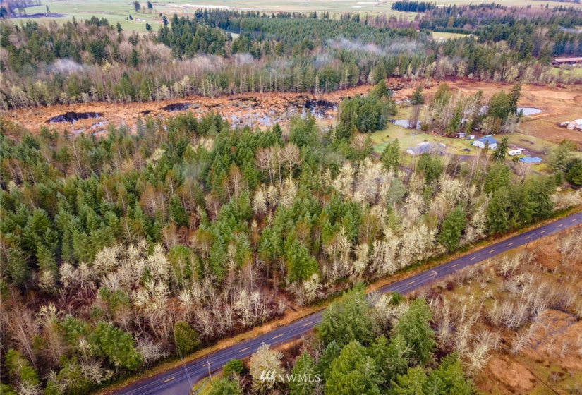 0 328th, Roy, Washington 98580, ,Land,For Sale,328th,NWM1877994
