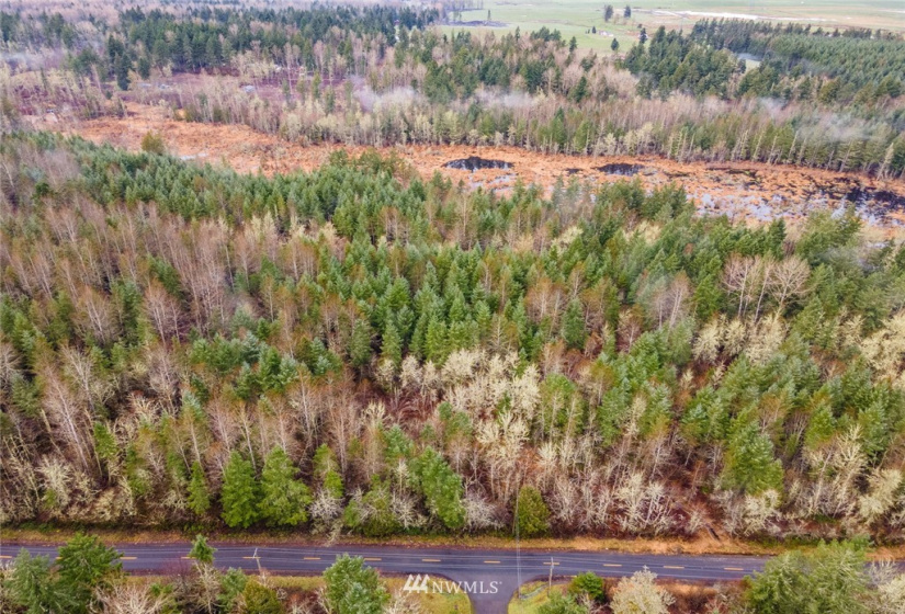 0 328th, Roy, Washington 98580, ,Land,For Sale,328th,NWM1877994