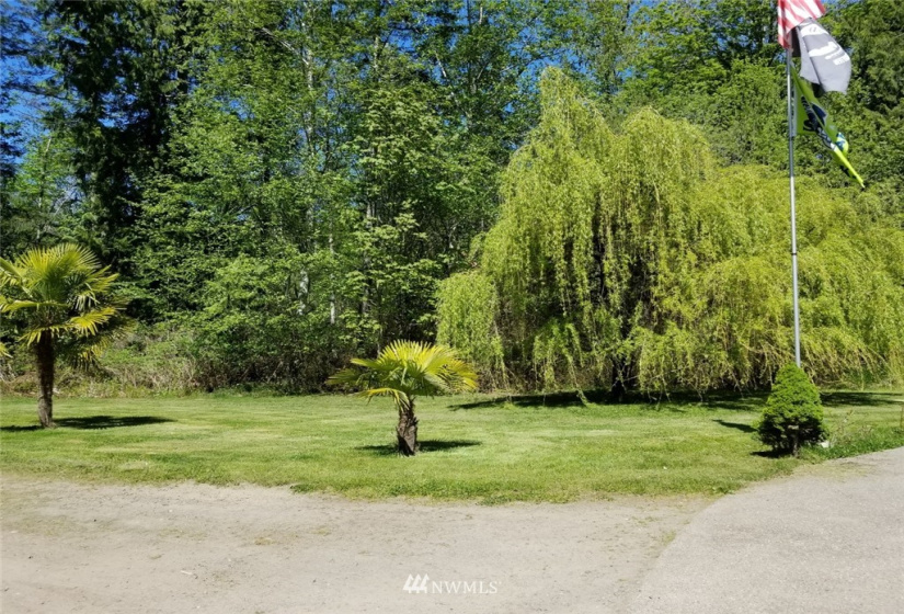 8250 Sesame, Silverdale, Washington 98383, 3 Bedrooms Bedrooms, ,2 BathroomsBathrooms,Residential,For Sale,Sesame,NWM1880050