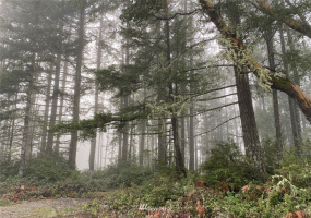 8106 Lackey, Vaughn, Washington 98394, ,Land,For Sale,Lackey,NWM1879894