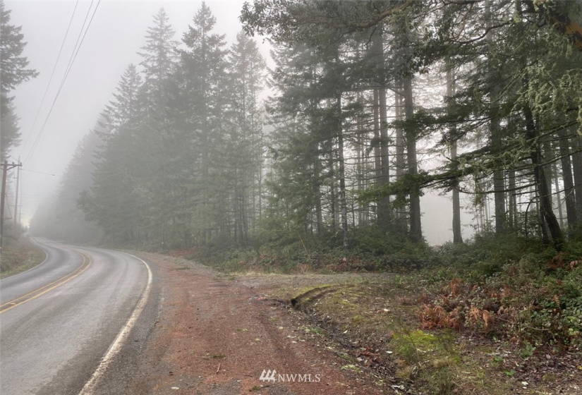 8106 Lackey, Vaughn, Washington 98394, ,Land,For Sale,Lackey,NWM1879894