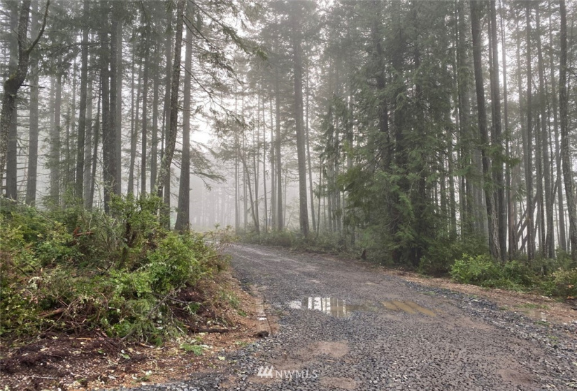 8106 Lackey, Vaughn, Washington 98394, ,Land,For Sale,Lackey,NWM1879894