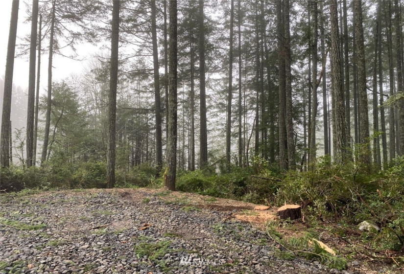 8106 Lackey, Vaughn, Washington 98394, ,Land,For Sale,Lackey,NWM1879894