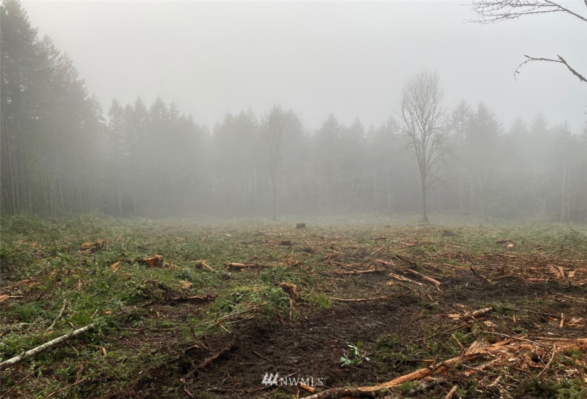 8106 Lackey, Vaughn, Washington 98394, ,Land,For Sale,Lackey,NWM1879894