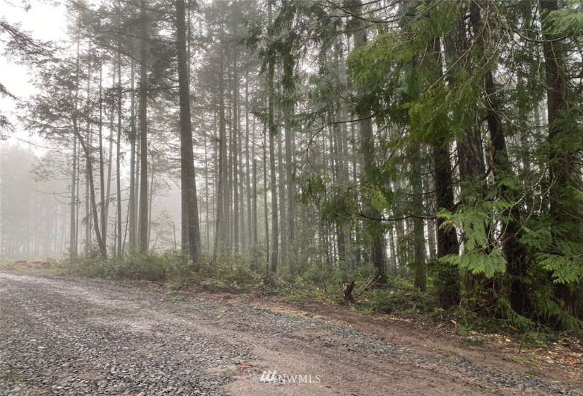 8106 Lackey, Vaughn, Washington 98394, ,Land,For Sale,Lackey,NWM1879894