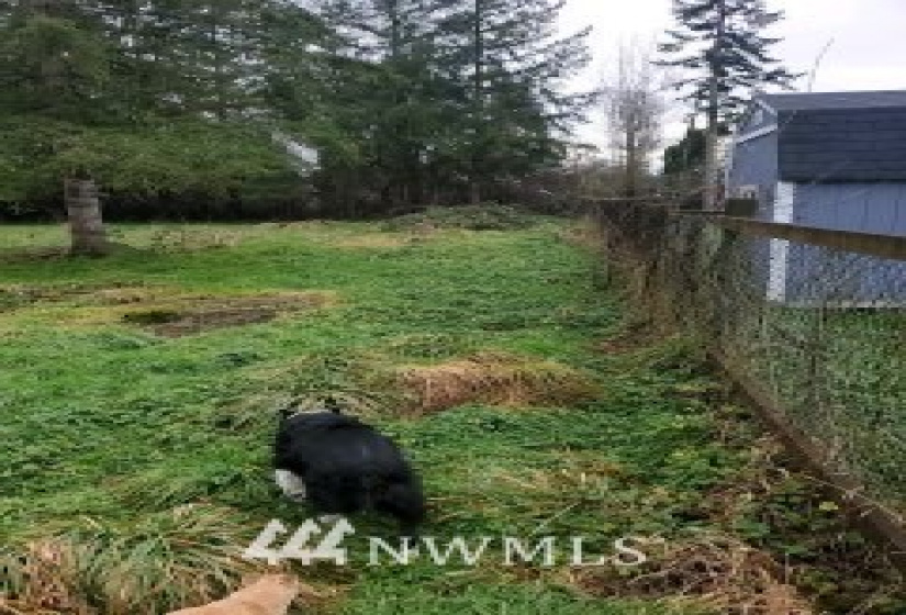 5909 Carnation-Duvall, Carnation, Washington 98014, 3 Bedrooms Bedrooms, ,1 BathroomBathrooms,Residential,For Sale,Carnation-Duvall,NWM1880349