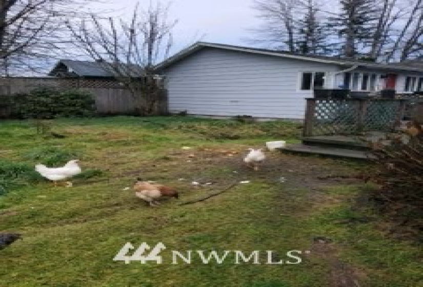 5909 Carnation-Duvall, Carnation, Washington 98014, 3 Bedrooms Bedrooms, ,1 BathroomBathrooms,Residential,For Sale,Carnation-Duvall,NWM1880349