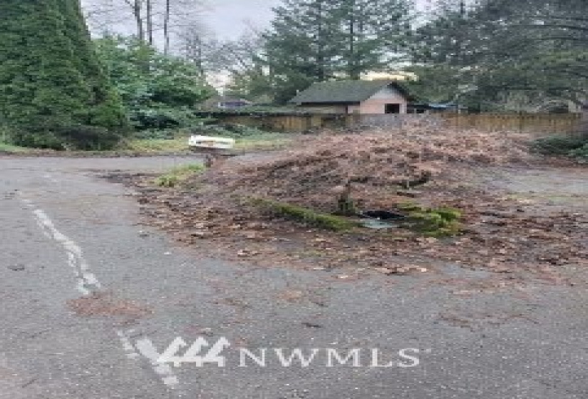 5909 Carnation-Duvall, Carnation, Washington 98014, 3 Bedrooms Bedrooms, ,1 BathroomBathrooms,Residential,For Sale,Carnation-Duvall,NWM1880349