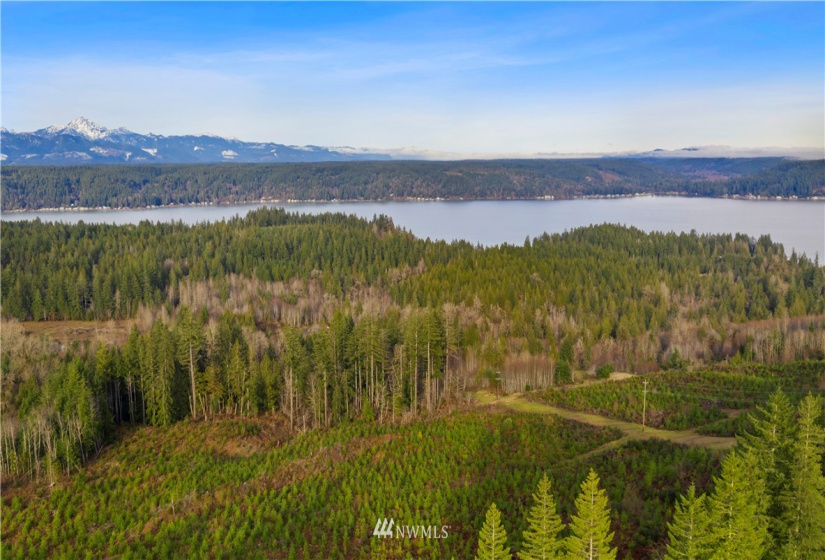 0 Above E Dalby, Union, Washington 98592, ,Land,For Sale,Union Mcreavy's 3rd Block,Above E Dalby,NWM1878046