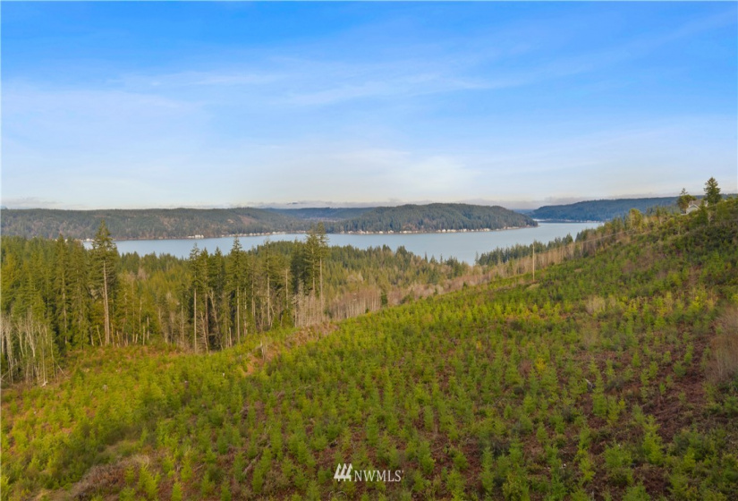 0 Above E Dalby, Union, Washington 98592, ,Land,For Sale,Union Mcreavy's 3rd Block,Above E Dalby,NWM1878046