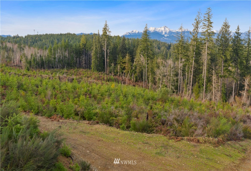 0 Above E Dalby, Union, Washington 98592, ,Land,For Sale,Union Mcreavy's 3rd Block,Above E Dalby,NWM1878046