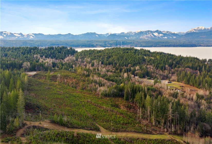 0 Above E Dalby, Union, Washington 98592, ,Land,For Sale,Union Mcreavy's 3rd Block,Above E Dalby,NWM1878046