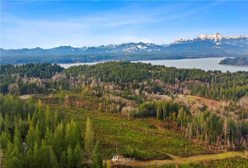 0 Above E Dalby, Union, Washington 98592, ,Land,For Sale,Union Mcreavy's 3rd Block,Above E Dalby,NWM1878046