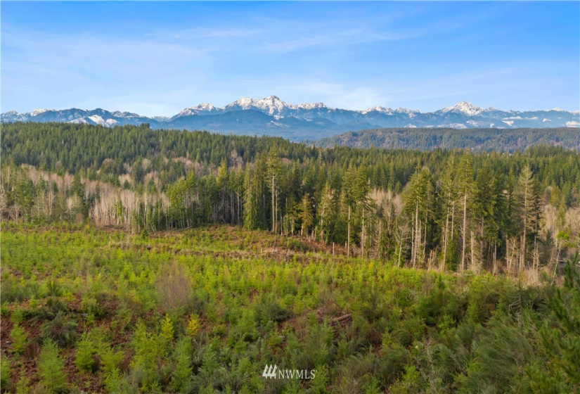 0 Above E Dalby, Union, Washington 98592, ,Land,For Sale,Union Mcreavy's 3rd Block,Above E Dalby,NWM1878046