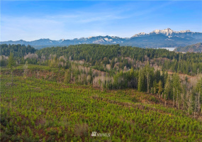 0 Above E Dalby, Union, Washington 98592, ,Land,For Sale,Union Mcreavy's 3rd Block,Above E Dalby,NWM1878046