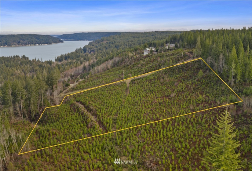 0 Above E Dalby, Union, Washington 98592, ,Land,For Sale,Union Mcreavy's 3rd Block,Above E Dalby,NWM1878046