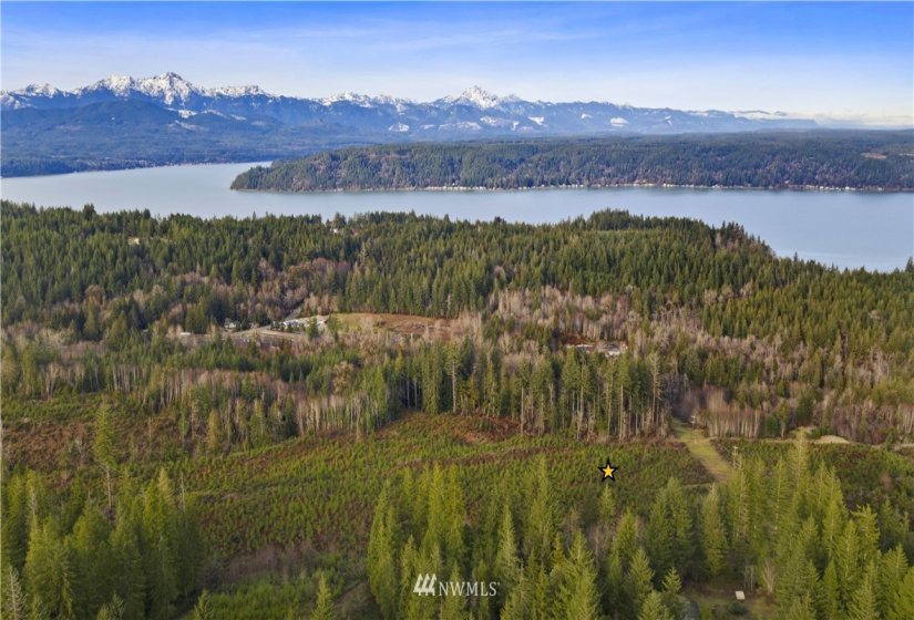 0 Above E Dalby, Union, Washington 98592, ,Land,For Sale,Union Mcreavy's 3rd Block,Above E Dalby,NWM1878046
