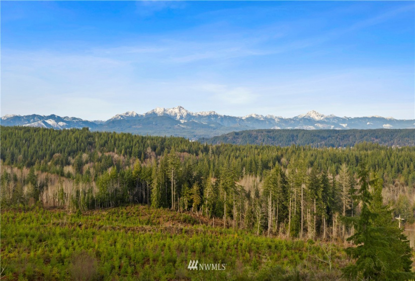 0 Above E Dalby, Union, Washington 98592, ,Land,For Sale,Union Mcreavy's 3rd Block,Above E Dalby,NWM1878046