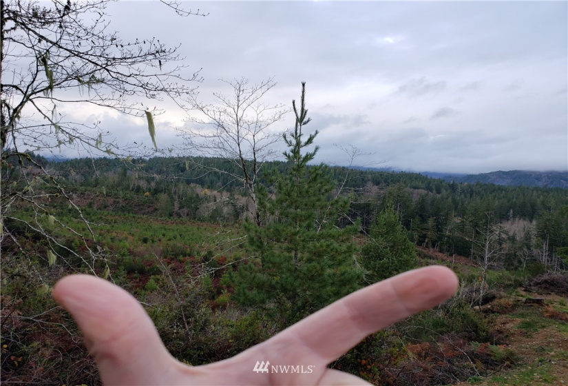 0 Above E Dalby, Union, Washington 98592, ,Land,For Sale,Union Mcreavy's 3rd Block,Above E Dalby,NWM1878046