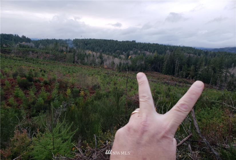 0 Above E Dalby, Union, Washington 98592, ,Land,For Sale,Union Mcreavy's 3rd Block,Above E Dalby,NWM1878046