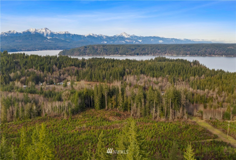 0 Above E Dalby, Union, Washington 98592, ,Land,For Sale,Union Mcreavy's 3rd Block,Above E Dalby,NWM1878046