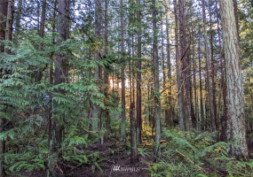 1665 Georgia, Point Roberts, Washington 98281, ,Land,For Sale,Dogwood Park,Georgia,NWM1880401