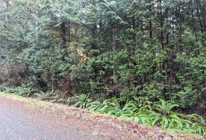 1665 Georgia, Point Roberts, Washington 98281, ,Land,For Sale,Dogwood Park,Georgia,NWM1880401