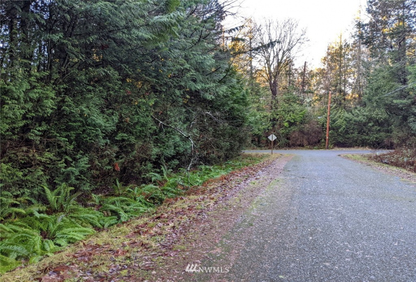 1665 Georgia, Point Roberts, Washington 98281, ,Land,For Sale,Dogwood Park,Georgia,NWM1880401