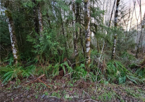 0 Chimacum, Elma, Washington 98541, ,Land,For Sale,Chimacum,NWM1878653