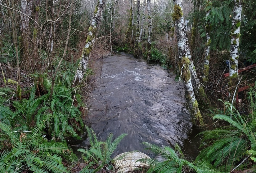 0 Chimacum, Elma, Washington 98541, ,Land,For Sale,Chimacum,NWM1878653