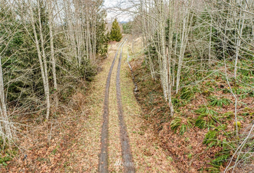 9999 Black Bear (Lot 7), Port Angeles, Washington 98362, ,Land,For Sale,Black Bear (Lot 7),NWM1879709