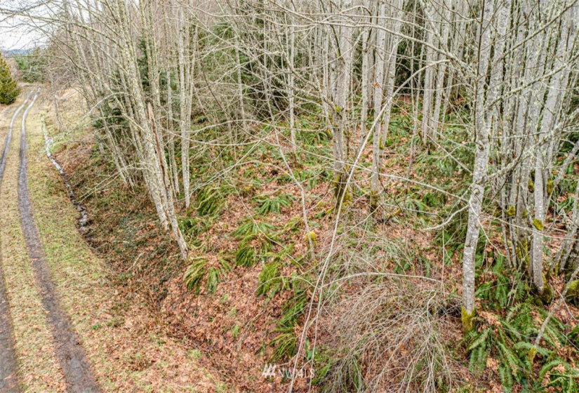 9999 Black Bear (Lot 7), Port Angeles, Washington 98362, ,Land,For Sale,Black Bear (Lot 7),NWM1879709