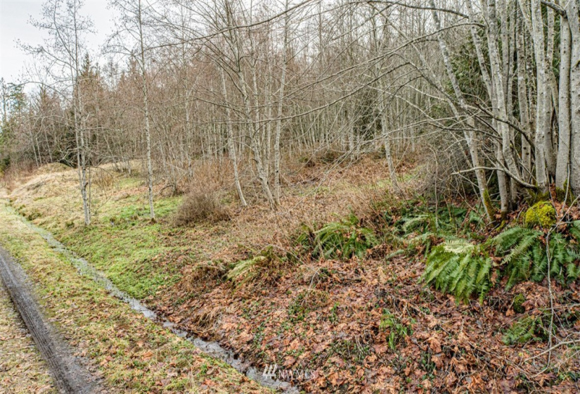 9999 Black Bear (Lot 7), Port Angeles, Washington 98362, ,Land,For Sale,Black Bear (Lot 7),NWM1879709