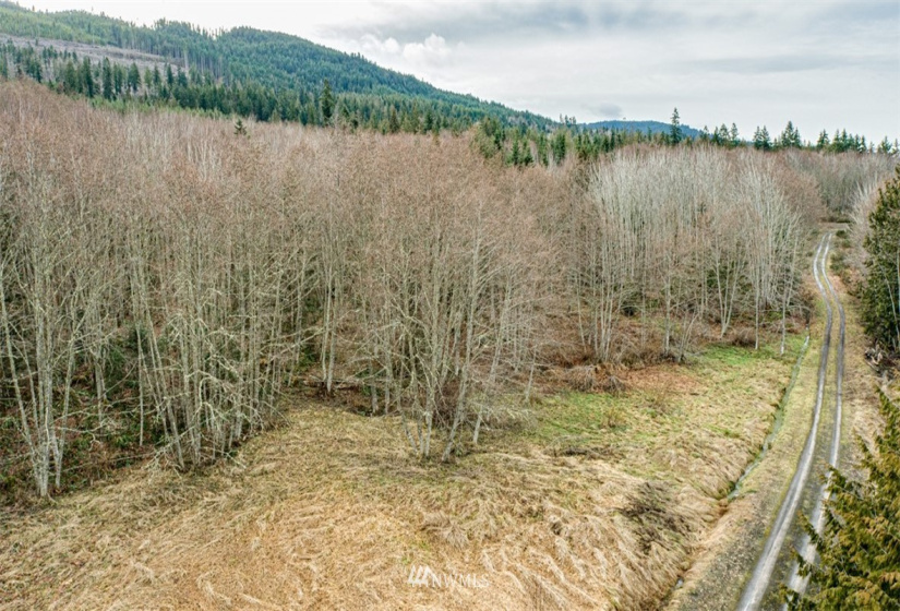 9999 Black Bear (Lot 7), Port Angeles, Washington 98362, ,Land,For Sale,Black Bear (Lot 7),NWM1879709