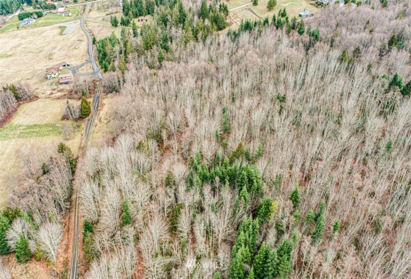 9999 Black Bear (Lot 7), Port Angeles, Washington 98362, ,Land,For Sale,Black Bear (Lot 7),NWM1879709