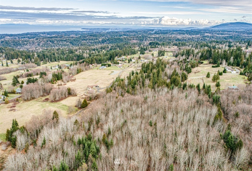 9999 Black Bear (Lot 7), Port Angeles, Washington 98362, ,Land,For Sale,Black Bear (Lot 7),NWM1879709
