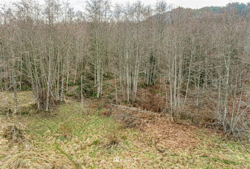9999 Black Bear (Lot 8), Port Angeles, Washington 98362, ,Land,For Sale,Black Bear (Lot 8),NWM1879712
