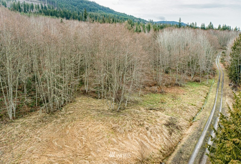 9999 Black Bear (Lot 8), Port Angeles, Washington 98362, ,Land,For Sale,Black Bear (Lot 8),NWM1879712