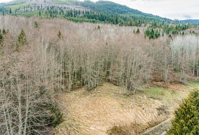 9999 Black Bear (Lot 8), Port Angeles, Washington 98362, ,Land,For Sale,Black Bear (Lot 8),NWM1879712