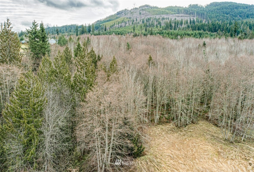 9999 Black Bear (Lot 8), Port Angeles, Washington 98362, ,Land,For Sale,Black Bear (Lot 8),NWM1879712