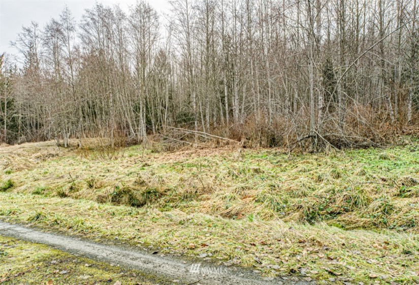 9999 Black Bear (Lot 8), Port Angeles, Washington 98362, ,Land,For Sale,Black Bear (Lot 8),NWM1879712