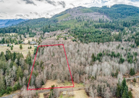 9999 Black Bear (Lot 8), Port Angeles, Washington 98362, ,Land,For Sale,Black Bear (Lot 8),NWM1879712