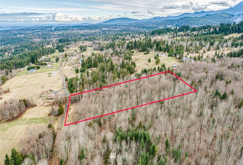 9999 Black Bear (Lot 8), Port Angeles, Washington 98362, ,Land,For Sale,Black Bear (Lot 8),NWM1879712